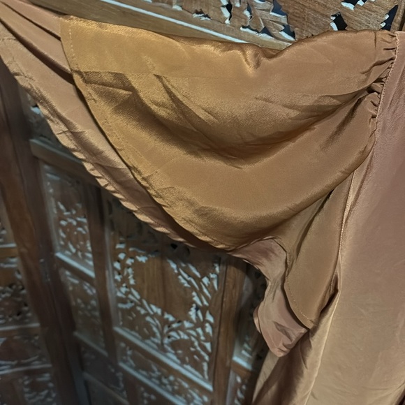 H & M Gorgeous Shade of Rust Satin Finish Dress with Ruffle Sleeves - Picture 4 of 6